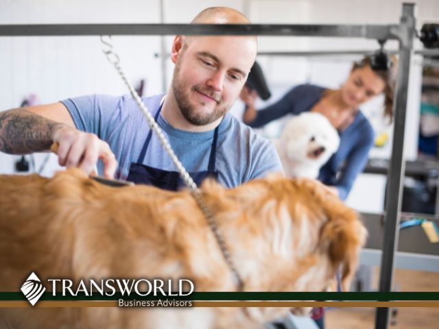 Dog Grooming & Training Business for Sale – DuPage County
