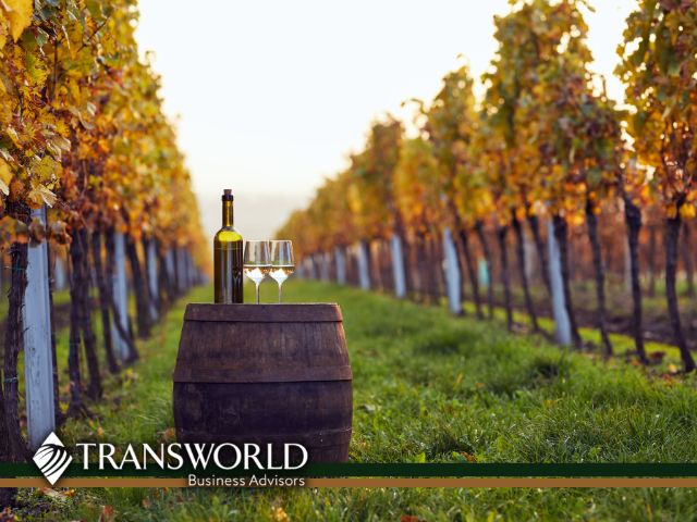 Revenue ready 1,500 HA Oil Palm Plantation and Processing Mill