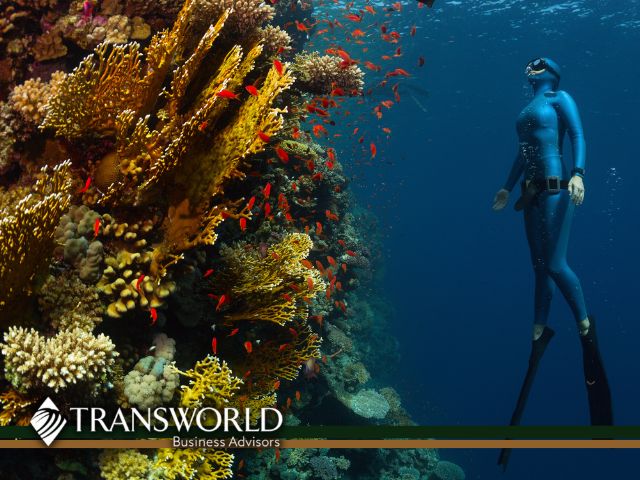 Largest provider of Freediving, Underwater Hunting & Scuba in US