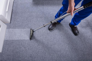 Established Eco-Friendly Carpet Rug & Upholstery Cleaning Service