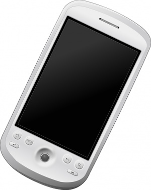 Profitable Wireless Cell Phone Services And Accessories For Sale