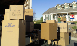 Upgrade Your Shipping Business with this Ready-to-Go Venture!