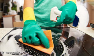 Own Success: Profitable, Trusted Cleaning Solutions!