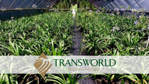 Wholesale Nursery With Strong Cash Flow