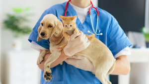 Profitable, Established Veterinary Pet Clinic for Sale in Houston