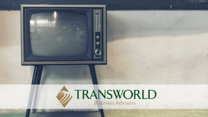 Profitable Online TV Parts Shop – Turnkey Opportunity!